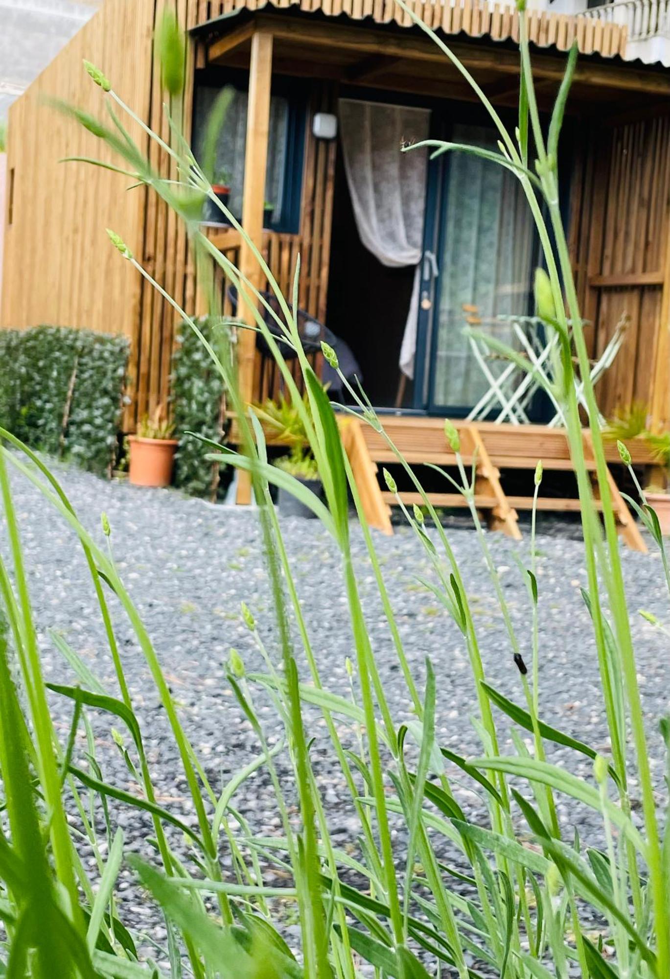 Douce Quietude "L'Escapade" Chambre D'Hotes Vals-les-Bains Kültér fotó